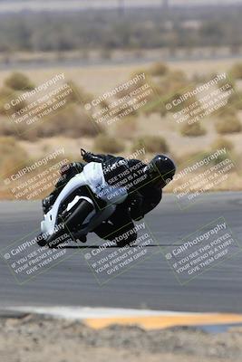 media/May-14-2023-SoCal Trackdays (Sun) [[024eb53b40]]/Turn 5 Tree of Life (1125am)/